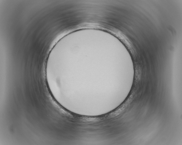 X0000110681382200907241034