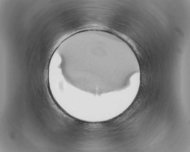 X0000110681383200907241034