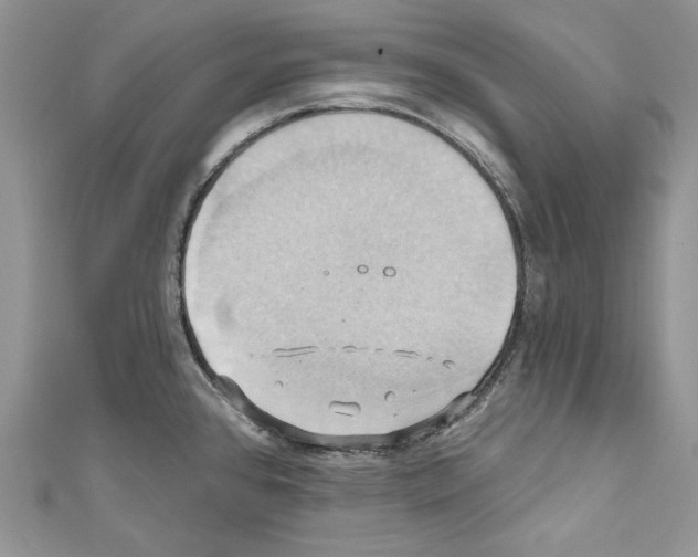 X0000110681384200907241034