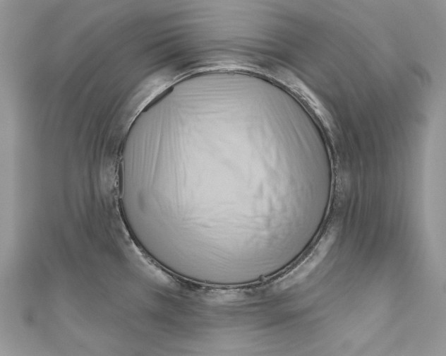 X0000110681385200907241034