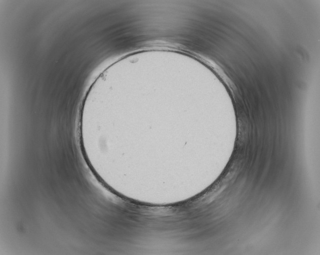 X0000110681387200907241034