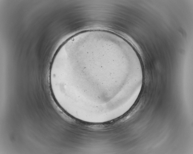 X0000110681388200907241034
