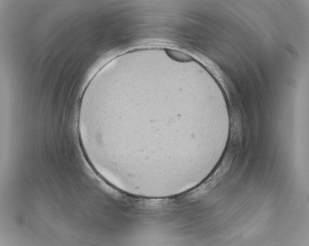 X0000110681390200907241034