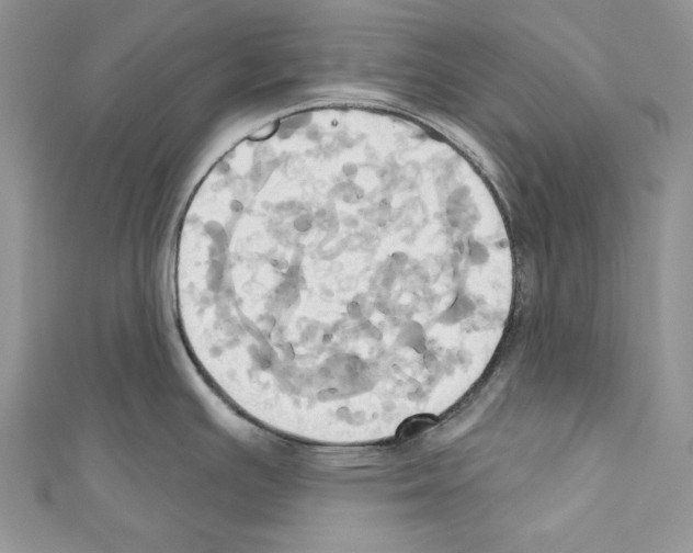 X0000110681391200907241034