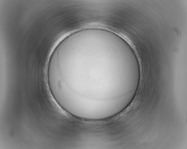 X0000110681392200907241034