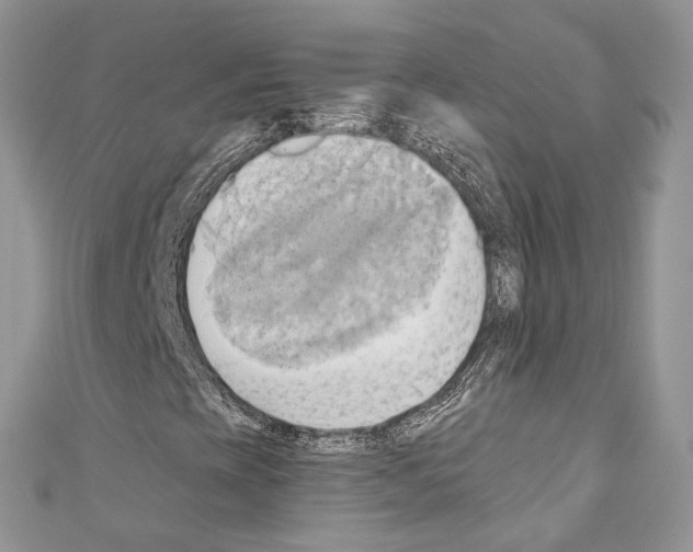 X0000110681393200907241034
