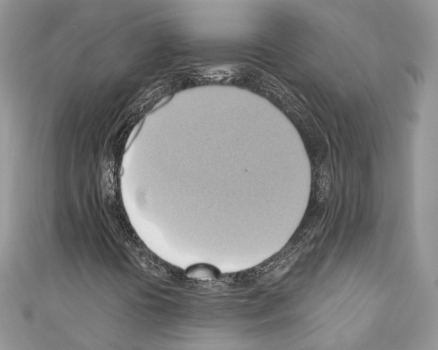 X0000110681394200907241034