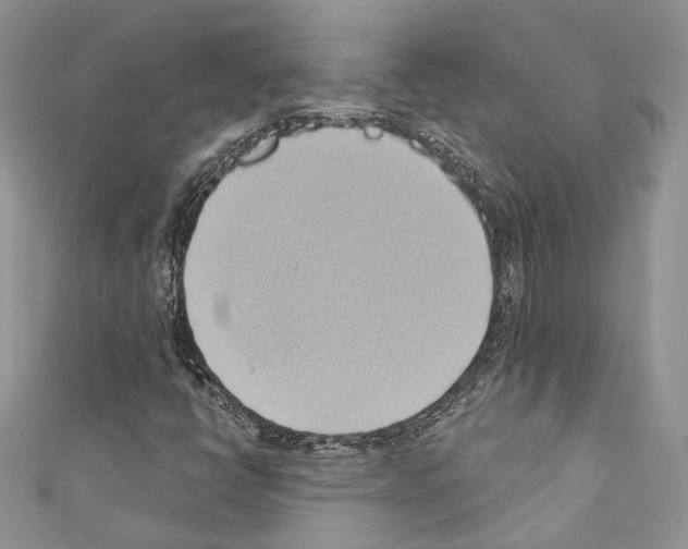 X0000110681398200907241034