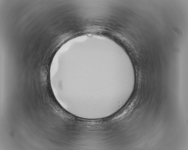 X0000110681401200907241034