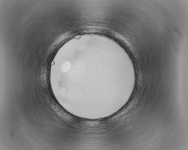 X0000110681403200907241034
