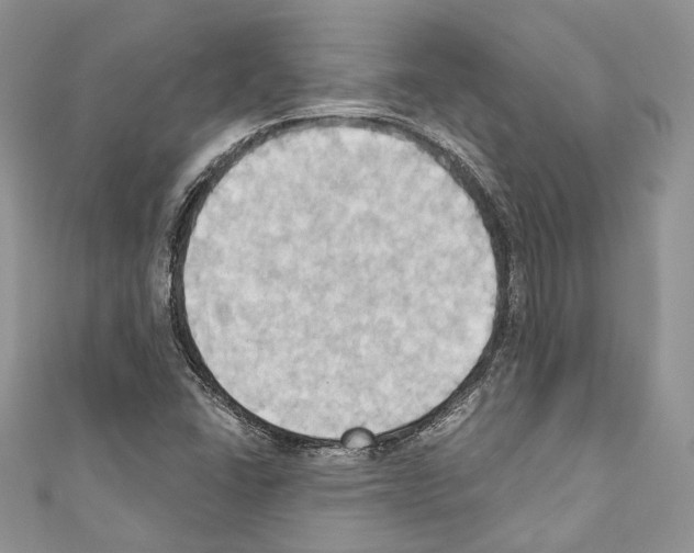 X0000110681406200907241034