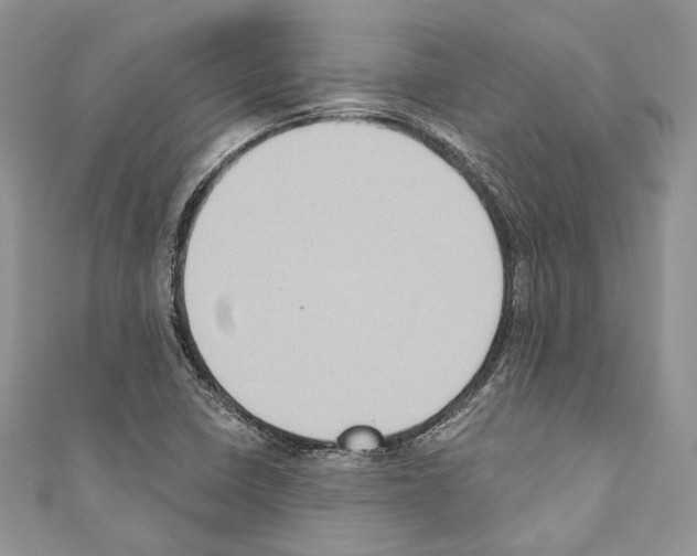 X0000110681410200907241034