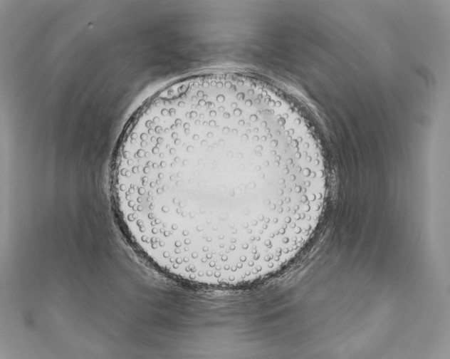 X0000110681412200907241034