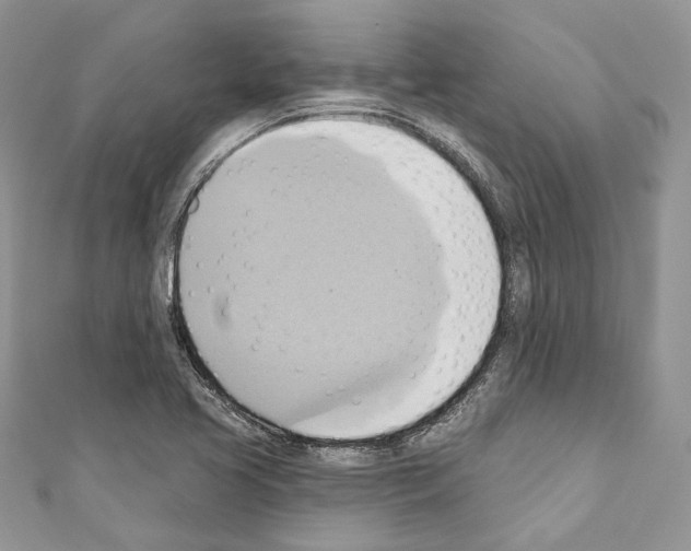 X0000110681413200907241034