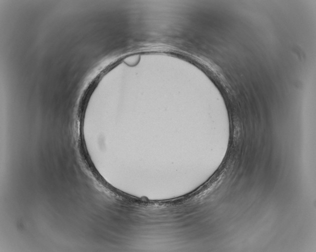 X0000110681414200907241034