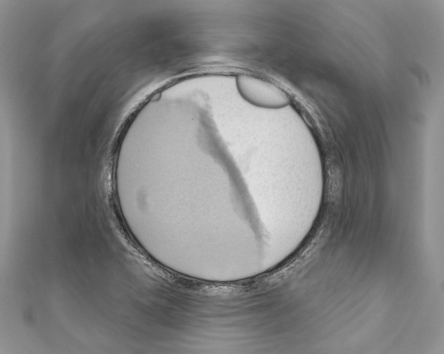 X0000110681415200907241034