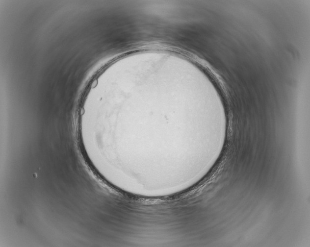 X0000110681416200907241034
