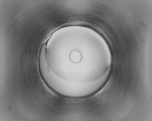 X0000110681417200907241034