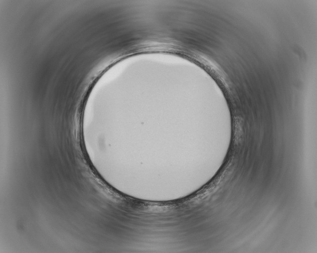 X0000110681419200907241034
