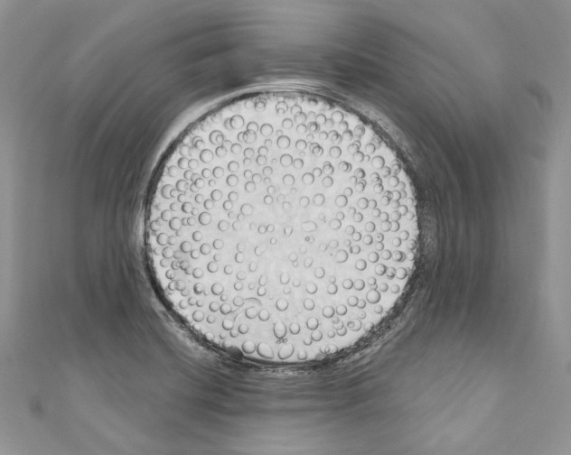 X0000110681420200907241034
