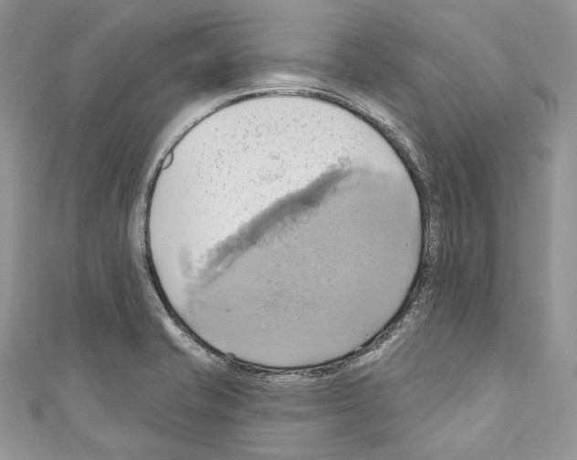 X0000110681421200907241034