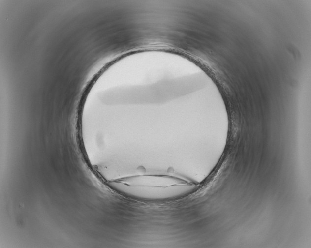 X0000110681422200907241034