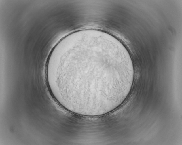 X0000110681423200907241034