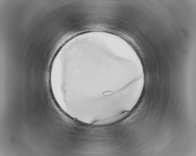 X0000110681424200907241034