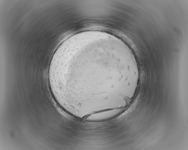 X0000110681425200907241034