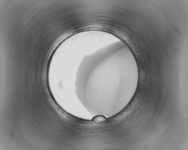 X0000110681426200907241034