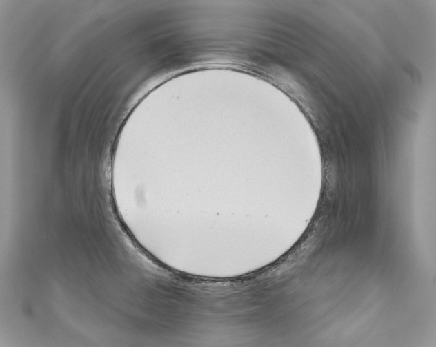 X0000110681428200907241034