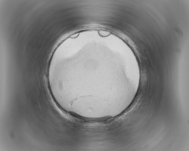 X0000110681429200907241034