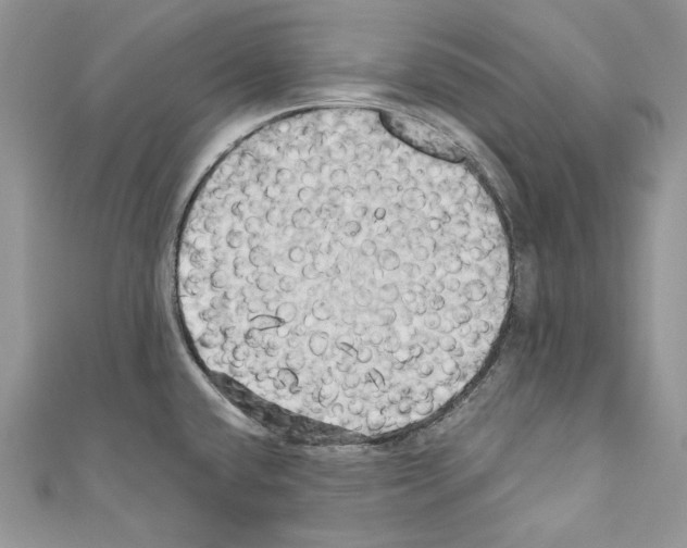 X0000110681432200907241034