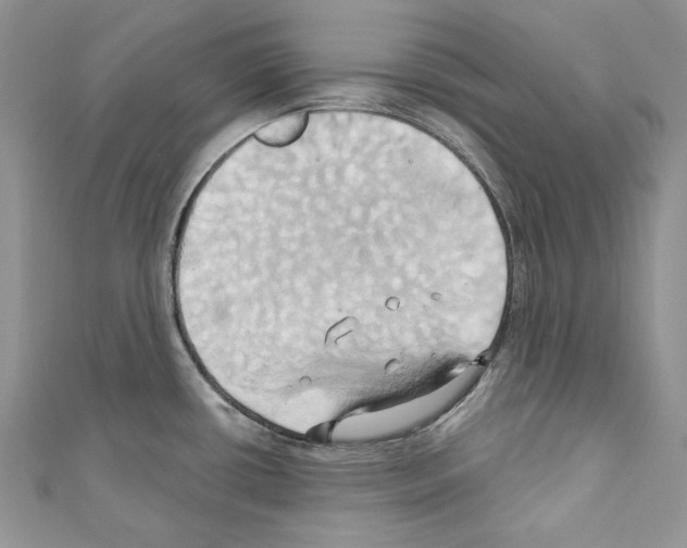 X0000110681434200907241034