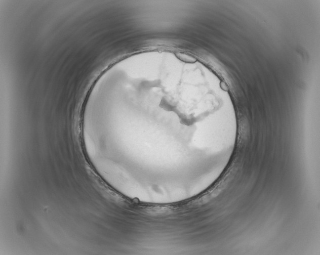 X0000110681435200907241034