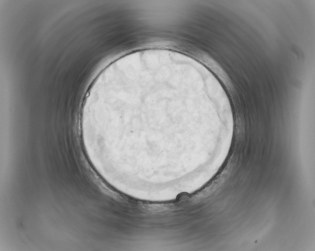X0000110681436200907241034