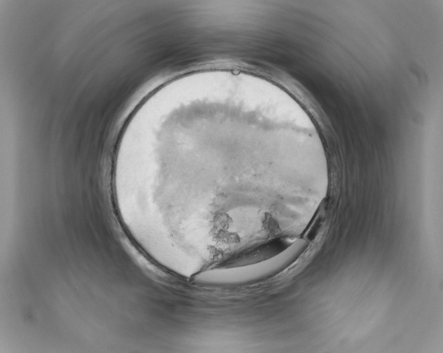 X0000110681438200907241034