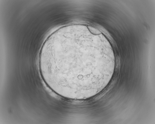 X0000110681439200907241034