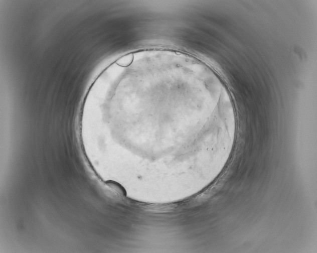 X0000110681440200907241034