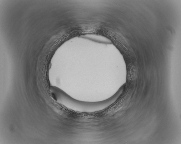 X0000110681441200907241034