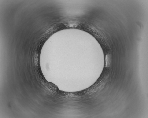 X0000110681443200907241034