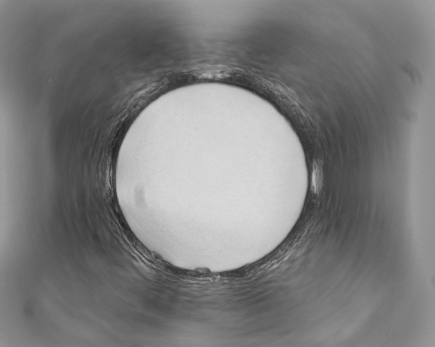 X0000110681444200907241034