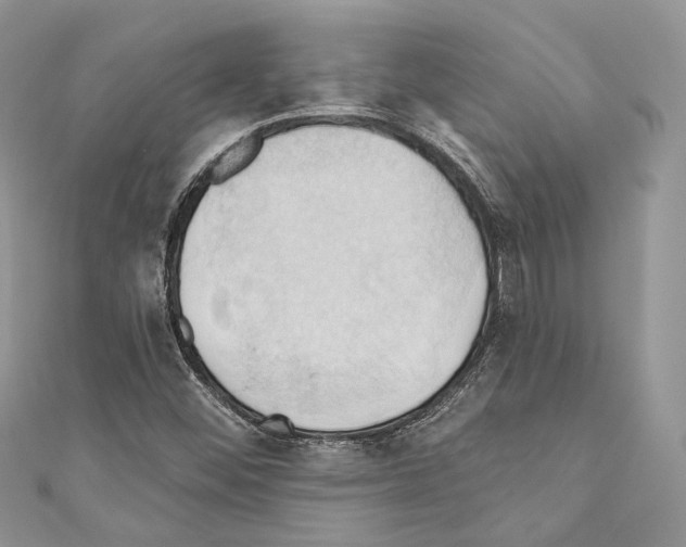 X0000110681452200907241033