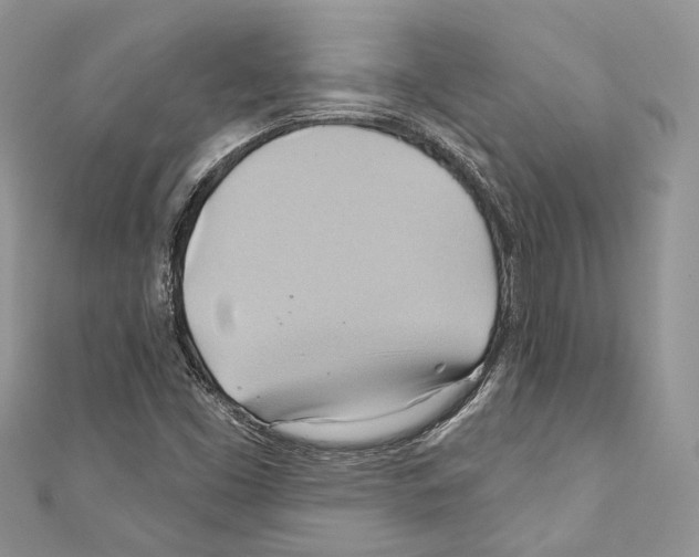 X0000110681453200907241033