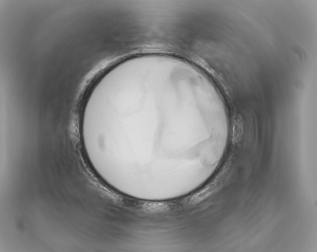 X0000110681454200907241033