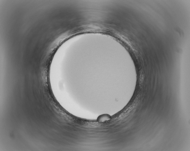 X0000110681455200907241033