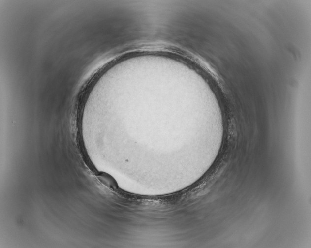 X0000110681456200907241033