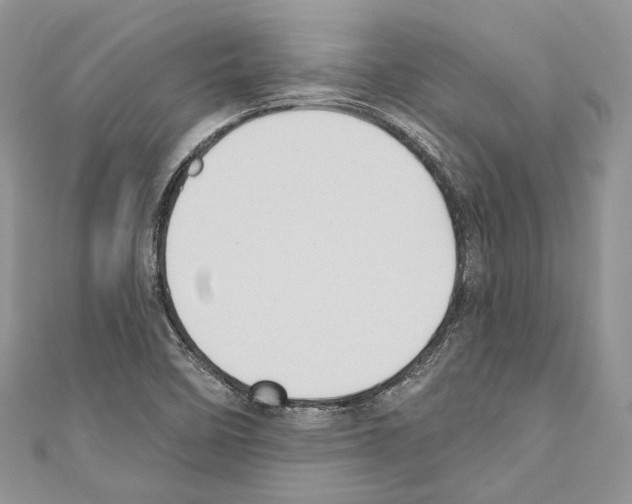 X0000110681458200907241033