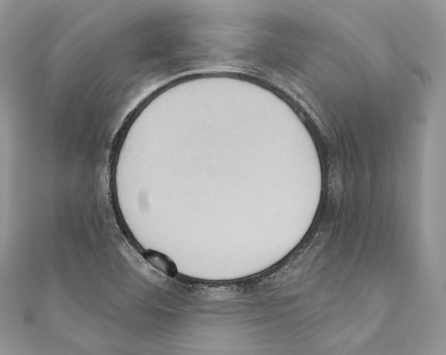 X0000110681460200907241033