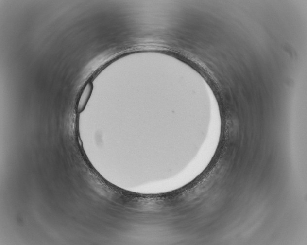 X0000110681461200907241033
